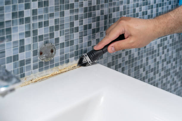Home Mold Removal in Brecksville, OH
